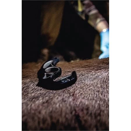 Schrade 1123119 Replaceable Gut Hook - Image 4