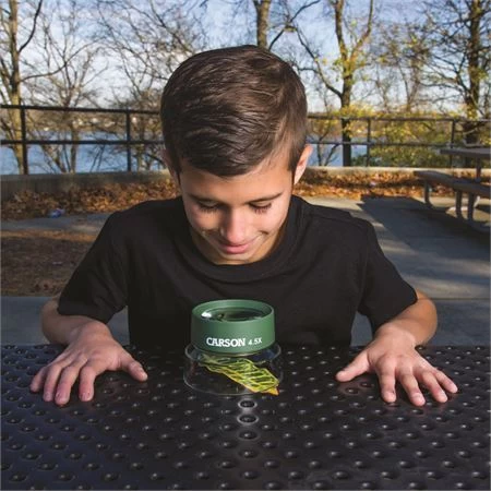 Carson Optics HU55 Bug Loupe Stand Magnifier - Image 3