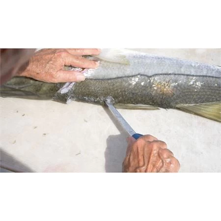 Camillus 23045 AquaTuff Fillet Knife - Image 6